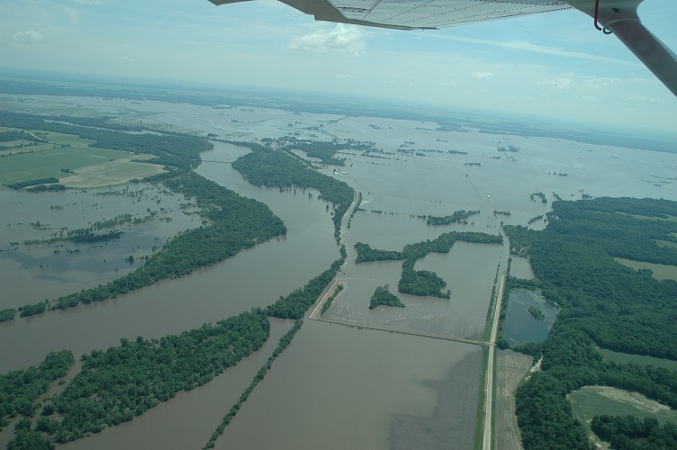 Review of The 2008 Flood